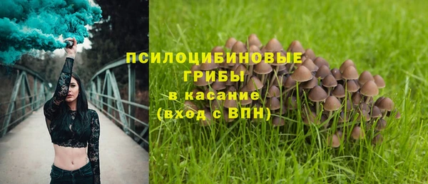 твердый Алексин